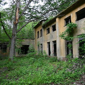 Bunkerwelt der ehemaligen Sprengstoffwerke der DAG im Herrenwald Stadtallendorf