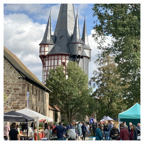 Tag der Nachhaltigkeit in Neustadt