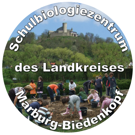 Logo Schubiz