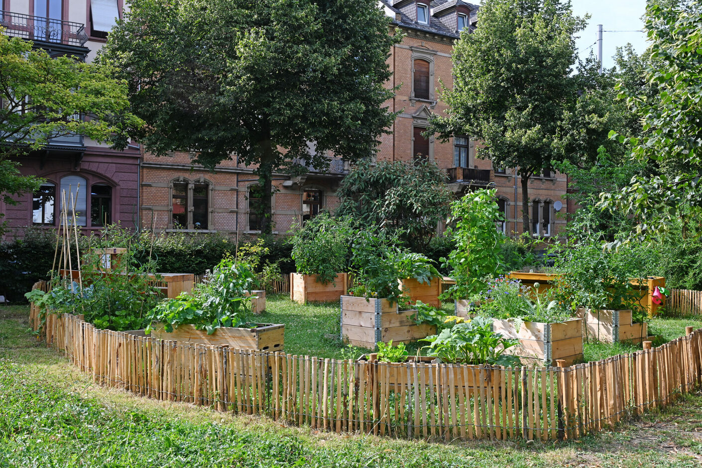 Urban Gardening