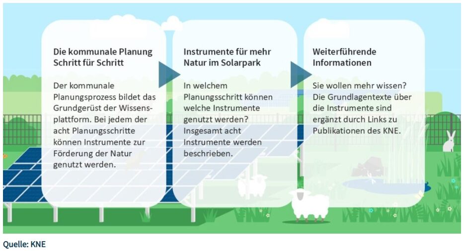 Planungsschritte klimafreundlicher Solarpark