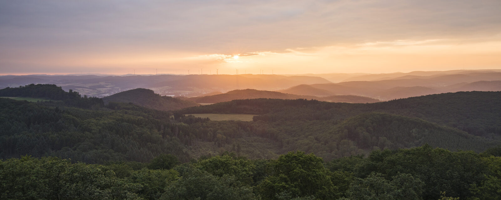 Keyvisual Klimaschutz