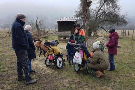 Schafe-Projekt in Koop. mit BUND Biedenkopf