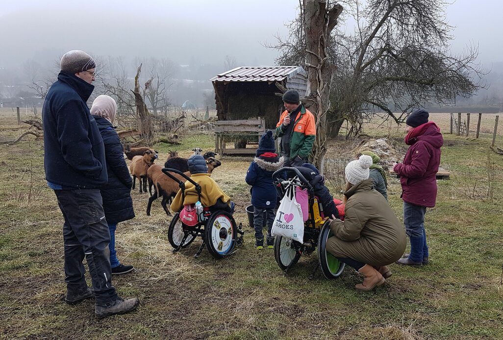 Schafe-Projekt in Koop. mit BUND Biedenkopf