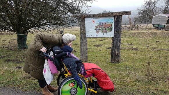 Rundgang auf dem Streuobstwiesenpfad