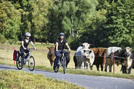 Foto zur Pressemitteilung 425/2019 (Höfe-Radeln)