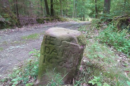 Foto zur Pressemitteilung 050 (Wanderung Plus)