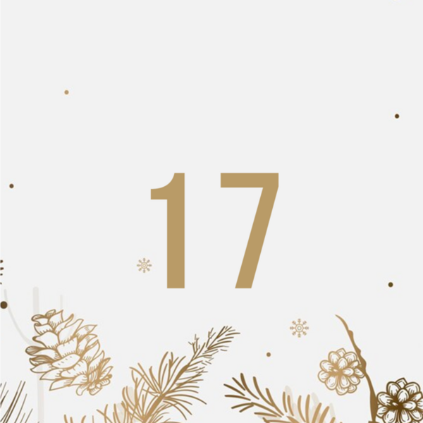 Bewegungsadventskalender Nummer 17